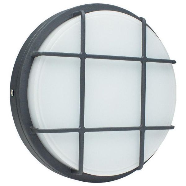 Schwabe LED Wandlamp 20W Rond Zwart IP65 image 1