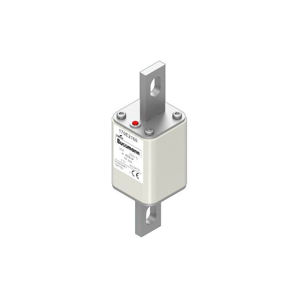 Fuse-link, high speed, 80 A, AC 500 V, 45 x 45 x 141 mm, aR, IEC, with indicator image 13