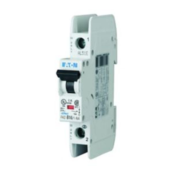 Miniature circuit breaker (MCB), 63 A, 1p, characteristic: C, NA image 4