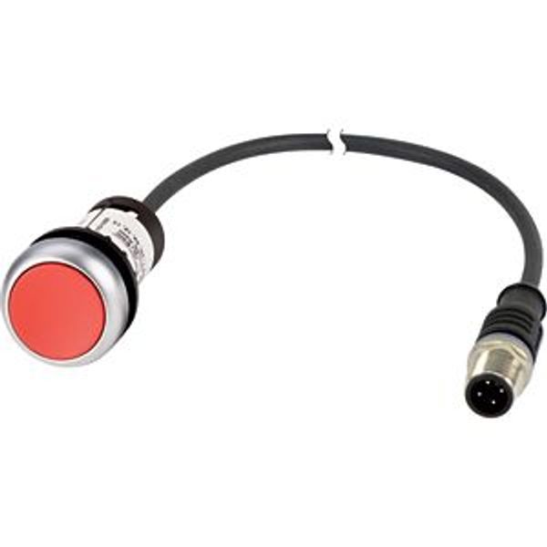 Pushbutton, Flat, momentary, 1 NC, Cable (black) with M12A plug, 4 pole, 0.5 m, red, Blank, Bezel: titanium image 5