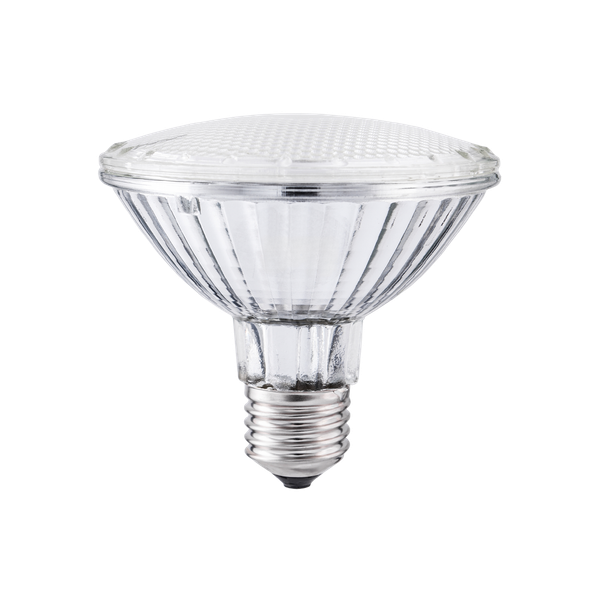 Halogen Lamp 100W E27 PAR30 230V 30° Patron image 1