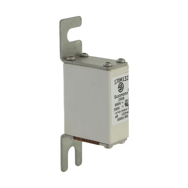 Fuse-link, high speed, 250 A, AC 690 V, DIN 000, 21 x 40 x 100 mm, aR, DIN, IEC image 8