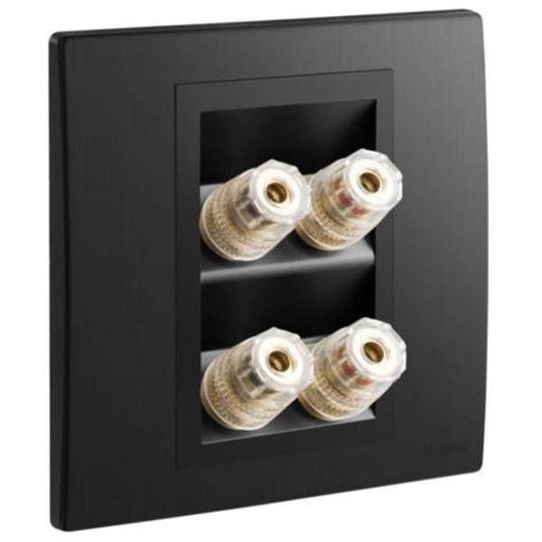 Mallia Senses - 2 gang single loudspeaker socket outlet - Brushed Black image 1