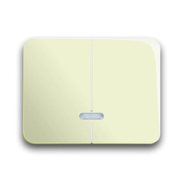 6545-22G CoverPlates (partly incl. Insert) carat® ivory image 1
