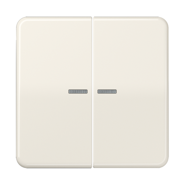 KNX RF centre plate 2-gang CD10921STRF image 1