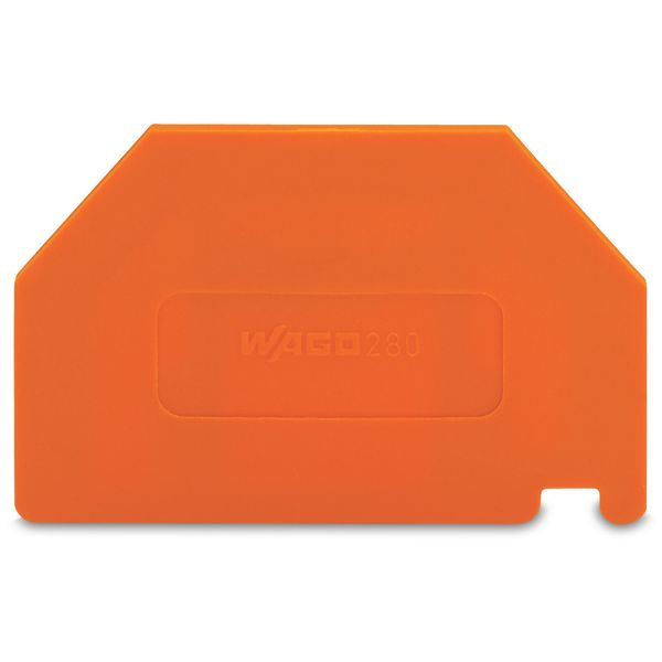 Separator plate 2 mm thick oversized orange image 1