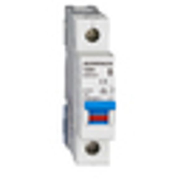 Main Load-Break Switch (Isolator) 100A, 1-pole image 2