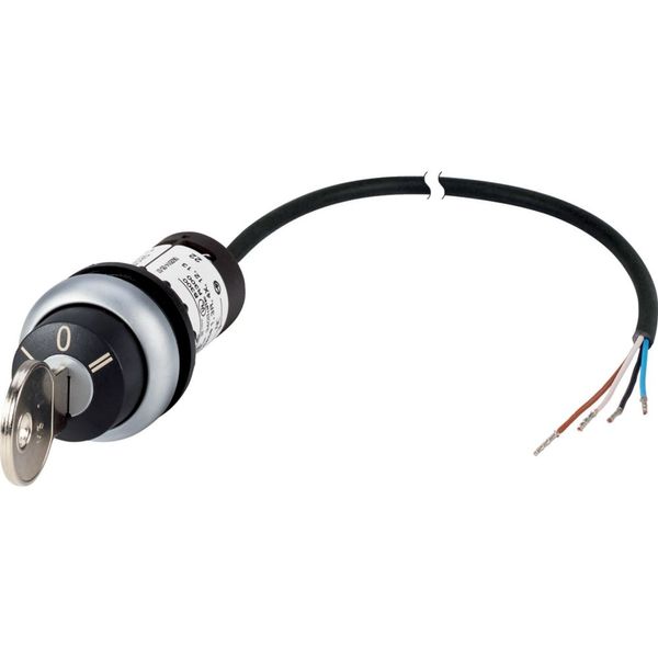 Key-operated actuator, RMQ compact solution, momentary, 2 N/O, Cable (black) with non-terminated end, 4 pole, 1 m, 3 positions, MS1, Bezel: titanium image 3