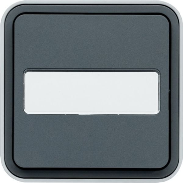 CUBYKO WALL INSCRIPTION BUTTON IP55 GRAY image 1
