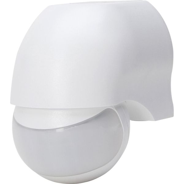 Motion detector 180 degree, white image 1