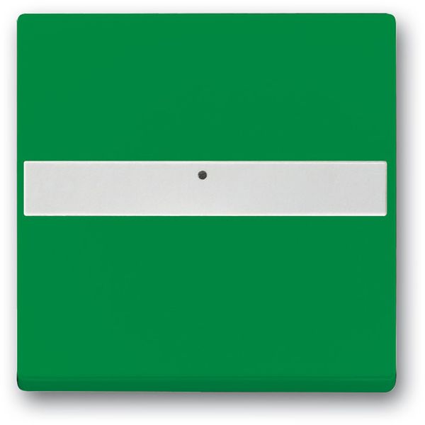 1764 NLI-13-82 CoverPlates (partly incl. Insert) future®, Busch-axcent®, solo®; carat®; Busch-dynasty® green image 1