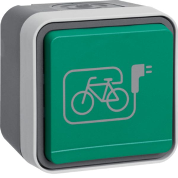 Soc.out. earth. pin+green hinged cover+impr.ed symb.e-bike surf.-mtd,W image 1