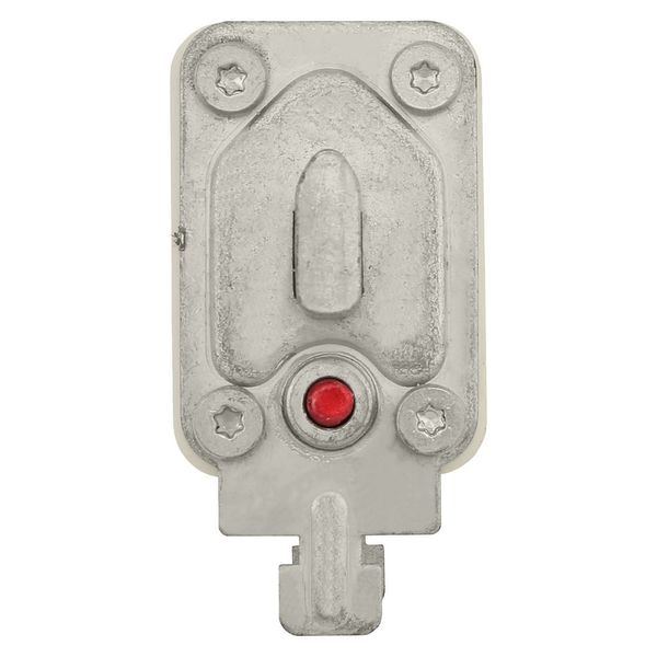 Fuse-link, high speed, 250 A, AC 690 V, DIN 1, 52 x 66 x 135 mm, gR, DIN, IEC, single indicator image 23