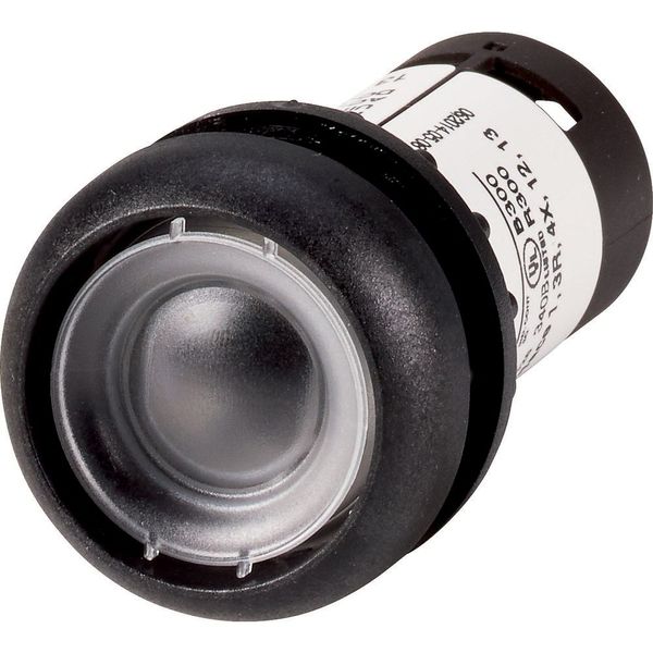 Pushbutton, Flat, momentary, 1 N/O, Screw connection, Without button plate, Bezel: black image 3