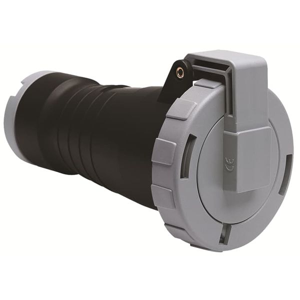 416C5W Industrial Connector image 1