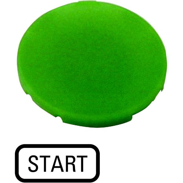 Button plate, flat green, START image 2