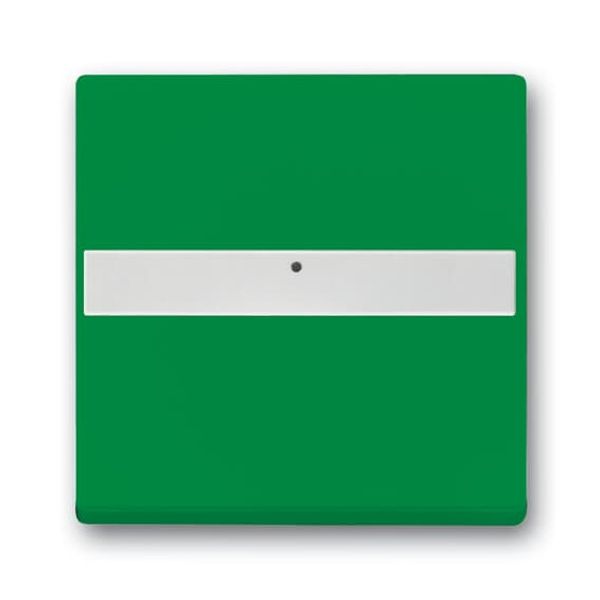 1764 NLI-13-82 CoverPlates (partly incl. Insert) future®, Busch-axcent®, solo®; carat®; Busch-dynasty® green image 2