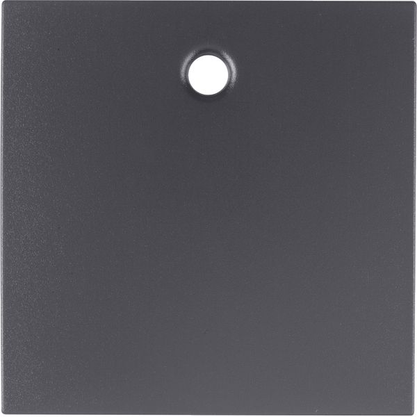 Centre plate for pullcord switch/pullcord push-button, B.3/B.7, ant.,  image 1