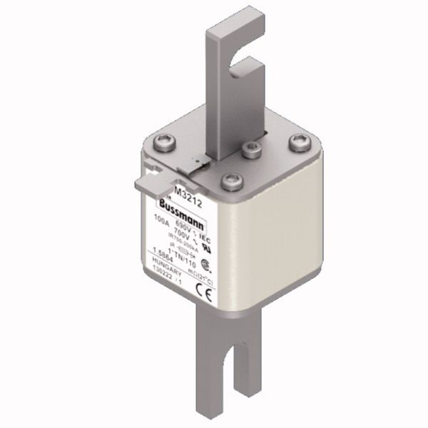 Fuse-link, high speed, 100 A, AC 690 V, compact DIN 1, 45 x 58 x 134 mm, aR, DIN, IEC, single indicator, 80 mm centres image 1