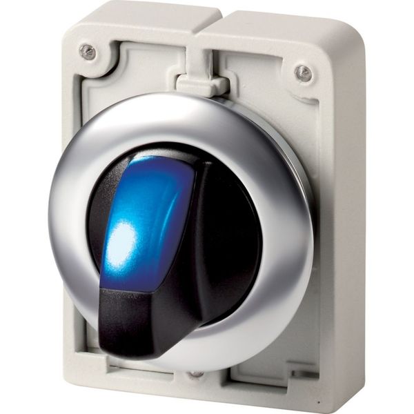 Illuminated selector switch actuator, RMQ-Titan, with thumb-grip, maintained, 2 positions, Blue, Front ring stainless steel image 4