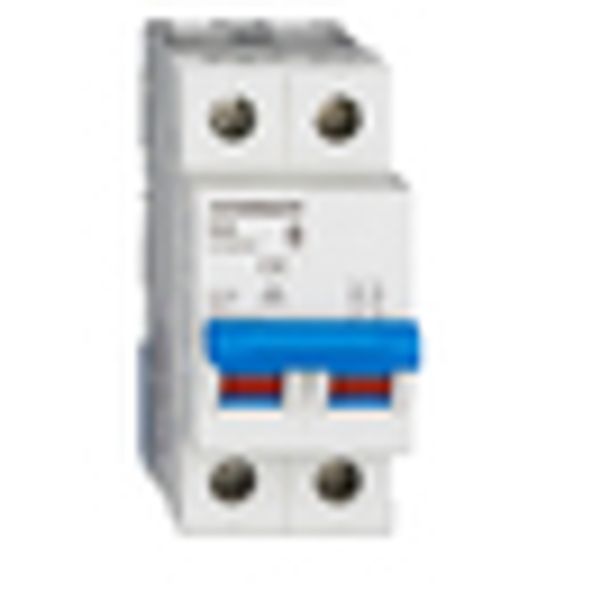 Main Load-Break Switch (Isolator) 32A, 2-pole image 6