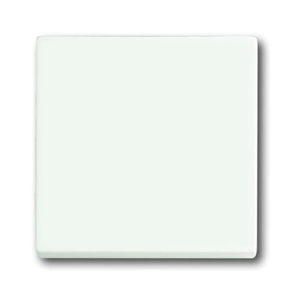 1789-84-500 CoverPlates (partly incl. Insert) future®, Busch-axcent®, solo®; carat® Studio white image 2