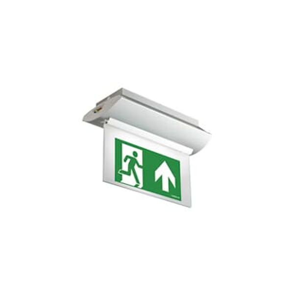 OHD1LS61LTC HORIZON LEDS EDGE SIGN 230VLTC image 1