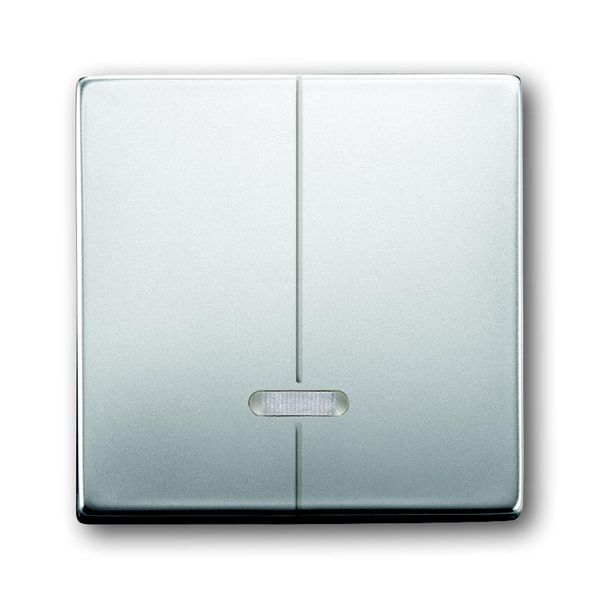 6545-866 CoverPlates (partly incl. Insert) pure stainless steel Stainless steel image 1