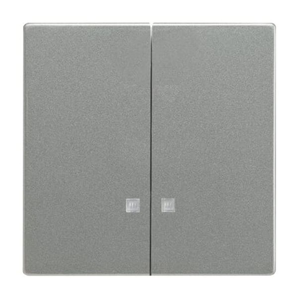 1785 K-866 CoverPlates (partly incl. Insert) pure stainless steel Stainless steel image 4