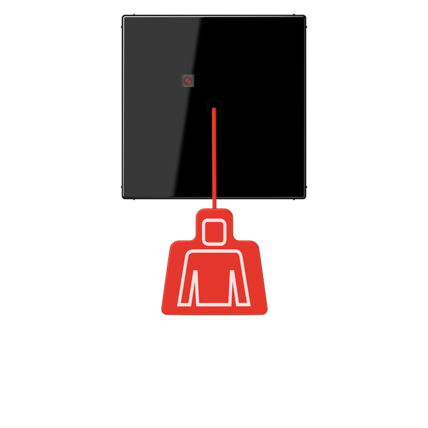 Signal device Pullcord/disabl. WC c. s., sva image 3