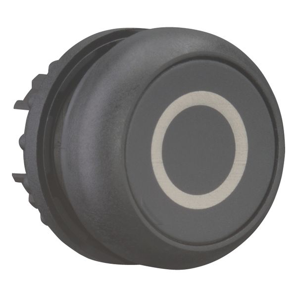 Pushbutton, RMQ-Titan, Flat, momentary, black, inscribed, Bezel: black image 14