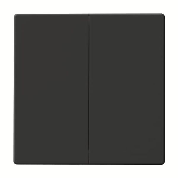 6736 FoH-81 CoverPlates (partly incl. Insert) Remote control Anthracite image 2
