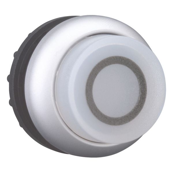 Illuminated pushbutton actuator, RMQ-Titan, Extended, momentary, White, inscribed 0, Bezel: titanium image 7