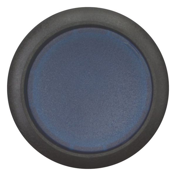 Illuminated pushbutton actuator, Flat, maintained, 1 N/O, Screw connection, LED Blue, Blue, Blank, 120 V AC, Bezel: black image 3