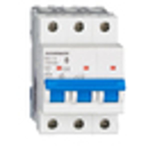 Miniature Circuit Breaker (MCB) AMPARO 6kA, B 6A, 3-pole image 3