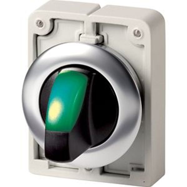 Illuminated selector switch actuator, RMQ-Titan, with thumb-grip, momentary, 3 positions, green, Front ring stainless steel image 2