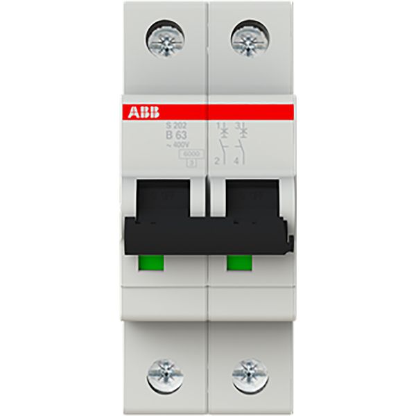 S202-B63 Miniature Circuit Breaker - 2P - B - 63 A image 2