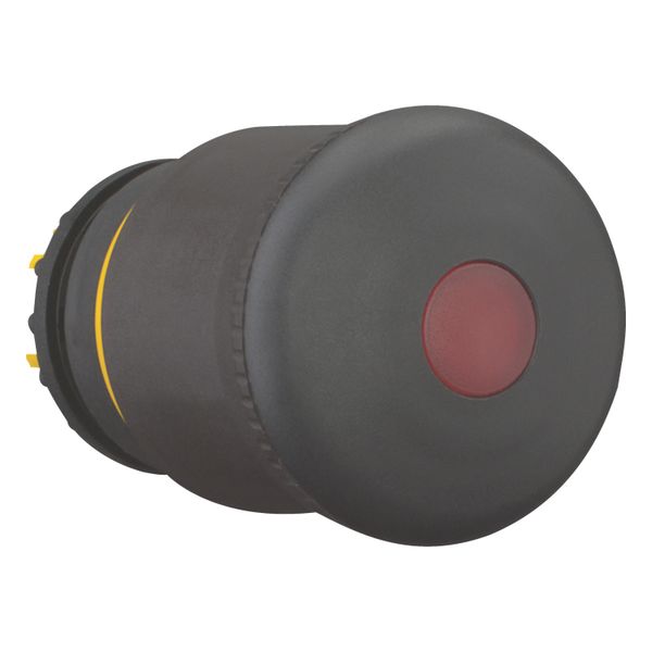 HALT/STOP-Button, RMQ-Titan, Mushroom-shaped, 38 mm, Illuminated with LED element, Pull-to-release function, Black, yellow, RAL 9005 image 12