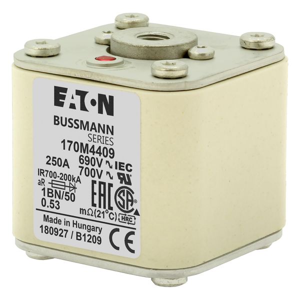 Fuse-link, high speed, 250 A, AC 690 V, size 1, 53 x 69 x 51 mm, aR, IEC, UL, single indicator, flush end, M8 image 4