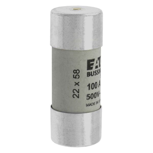 Fuse-link, LV, 100 A, AC 500 V, 22 x 58 mm, gL/gG, IEC, with striker image 9