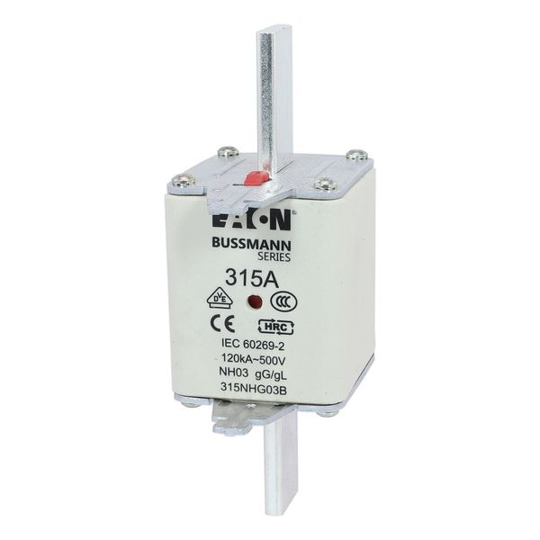 Fuse-link, LV, 315 A, AC 500 V, NH03, gL/gG, IEC, dual indicator, live gripping lugs image 12