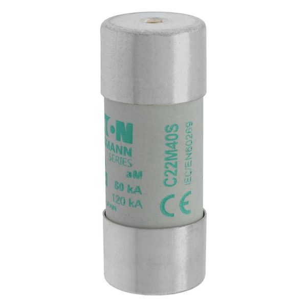 Fuse-link, LV, 40 A, AC 690 V, 22 x 58 mm, aM, IEC, with striker image 5