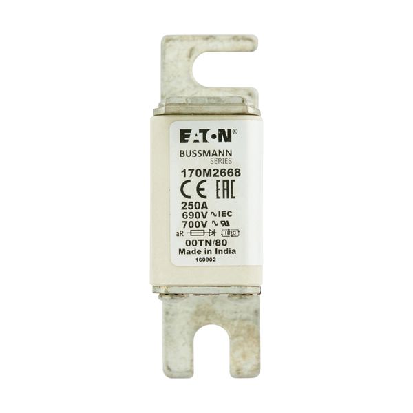 Fuse-link, high speed, 250 A, AC 690 V, DIN 00, aR, DIN, IEC, single indicator, live gripping lugs image 14