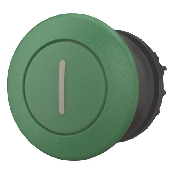 Mushroom actuator, RMQ-Titan, Mushroom, momentary, Mushroom green, green, inscribed, Bezel: black image 3