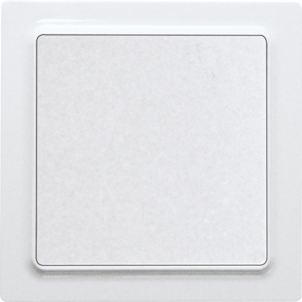 Rocker switch in E-Design55, polar white mat image 1