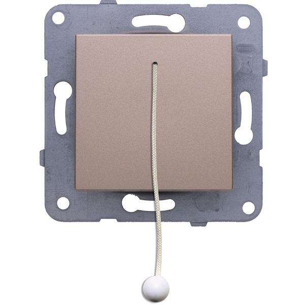 Karre Plus-Arkedia Bronze Emergency Warning Switch with cord image 1