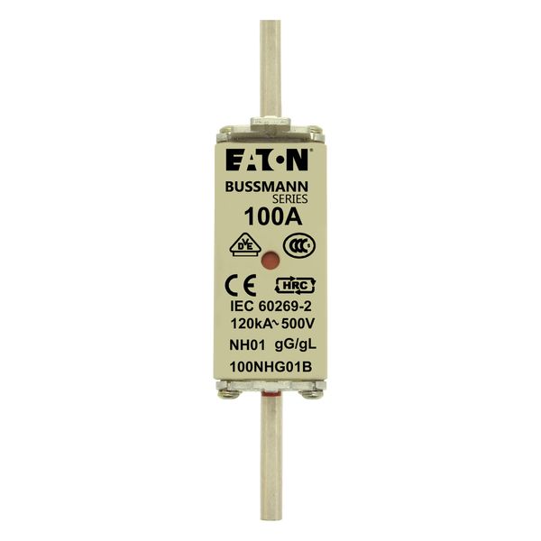 Fuse-link, LV, 100 A, AC 500 V, NH01, gL/gG, IEC, dual indicator, live gripping lugs image 13