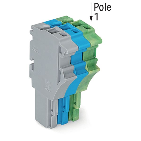 1-conductor female connector Push-in CAGE CLAMP® 4 mm² gray/blue/green image 2