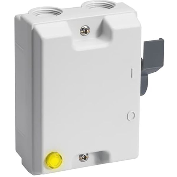 BW325LTPN Enclosed Switch Disconnector image 1