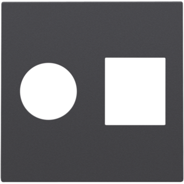 Finishing set for single coaxial connection and network connection RJ4 image 1